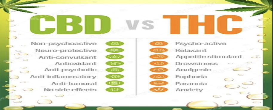 CBD VS THC