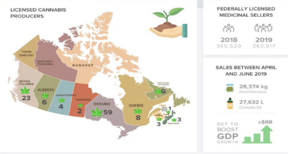 maximum numbers of cannabis growing businesses by region