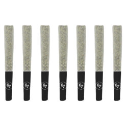 Sixty Seven Sins | Gas Face Pre-Rolls | 7x0.5g