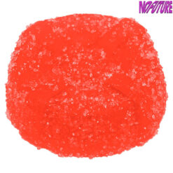 No Future | CBG Bomb - The CBG Red One | 1PC 10/25 PROMO