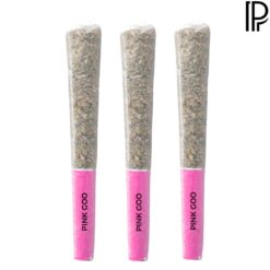 Pistol and Paris | Pink Goo Pre-Roll | 3x0.5g PROMO