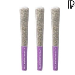 Pistol and Paris | Blackberry Breath Pre-Roll | 3x0.5g