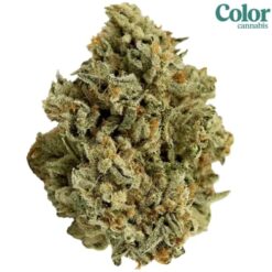 Color Cannabis | Mango Haze Flower | 7g