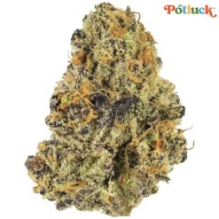 Potluck | Blueberry Tart Flower | 7g