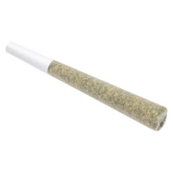 Soar | Pineapple God Pre-Rolls | 1x1g