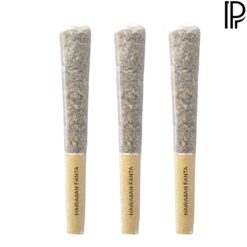 Pistol and Paris | Hawaiian Fanta Pre-Rolls | 3x0.5g PROMO