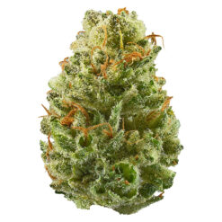 Potluck | Strawberry Cough Craft Flower | 7g