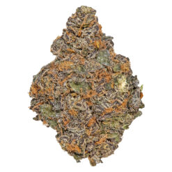 Potluck | Beaver Tail Craft Flower | 7g