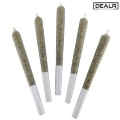 DEALR | Jelly Beanz Pre-Rolls | 5x0.5g