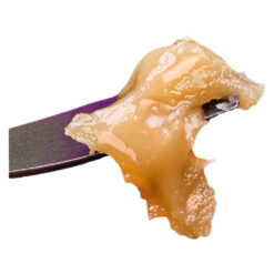 Sauce Rosin Labs | Live Rosin (Rotating Strain) Seasonal Gas Pack | 1g