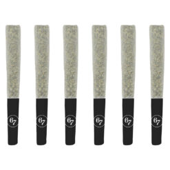 Sixty Seven Sins | Fire Pack (Rotating Strain) Pre-Roll | 6x0.5g