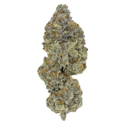 Pistol and Paris | LSO Collection: Blueberry Vendetta Craft Flower | 7g  *