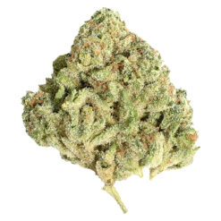 Potluck | Sugar Shack Craft Flower | 7g