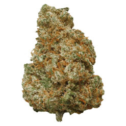 Potluck | Mango Dream Craft Flower | 7g