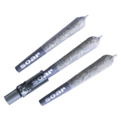 Soar | Brain Cake Pre-Roll | 3x0.5g
