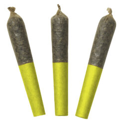Dab Bods | Jungle Juice 60's+ Dbl Infused Pre-Roll | 3x0.5g