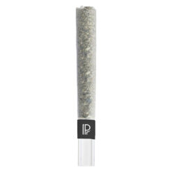 Pistol and Paris | Bubble Hash (Rotating Strain) Infused Pre-Roll | 1x1g