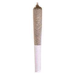 Potluck | Beaver Tail Pre-Roll | 1x0.5g
