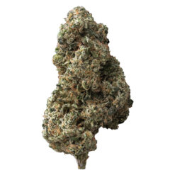 The Loud Plug | Sticky Buns Craft Flower | 28g PROMO