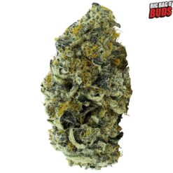 Big Bag O Buds | Jet Fuel Pie Flower | 28g PROMO