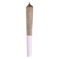 Potluck | Sugar Shack Pre-Roll | 1x0.5g