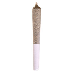 Potluck | Mango Dream Pre-Roll | 1x0.5g