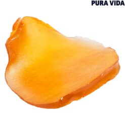 Pura Vida | Fatso Jumbo Slab Shatter | 1.2g