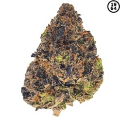 1964 | Apples & Bananas Craft Flower | 7g PROMO