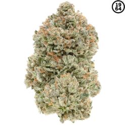 1964 | Stinky Pinky Craft Flower | 7g PROMO