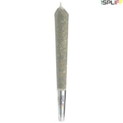 1Spliff Reserve | PineappleX Premium Glass Tip Pre-Roll | 1x1g  * PROMO
