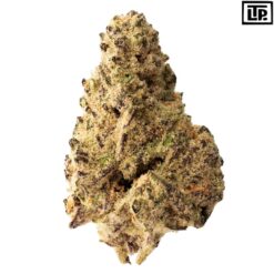 The Loud Plug | Platinum Punch Craft Flower | 28g PROMO