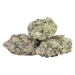 Sixty Seven Sins | EXPO67 (Rotating Strain) Craft Flower | 3.5g