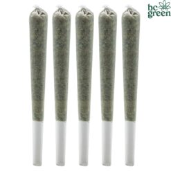 BC Green | Watermelon Gushers Pre-Rolls | 5x0.5g