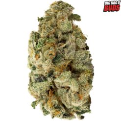 Big Bag O' Buds | Pink Kush Mints Flower | 28g PROMO