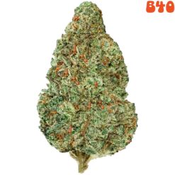 xBack Forty | Chemzilla Flower | 14g