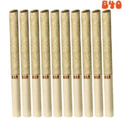 xBack Forty | Backpackers - Fire Breath Pre-Rolls | 10x0.75g