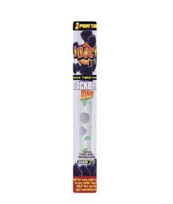 Juicy Jay's | Blackberry Jones Flavored Pre-Rolled Cones | 2 Pack