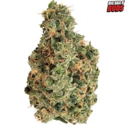 Big Bag O Buds | Ultra Jean-G Flower | 28g PROMO