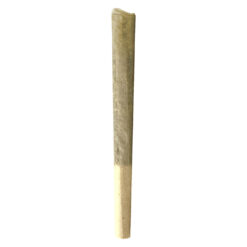 MTL Cannabis | Sage n' Sour Pre-Roll | 1x1g