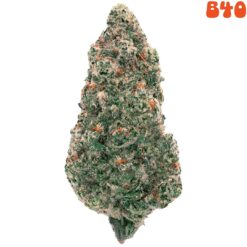 xBack Forty | Mandarin Cookies Flower | 28g