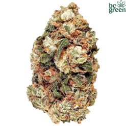 BC Green | Frosted Gumbo Craft Flower | 28g