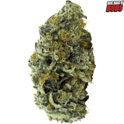 Big Bag O Buds | Jet Fuel Pie Flower | 14g  *