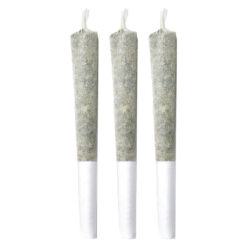 Pineapple Buds | Pineapple Haze Pre-Rolls | 3x0.5g