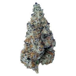 The Florist | Slurriboof Craft Flower | 7g~
