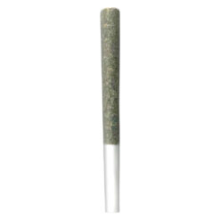 Irony | The Penny Puffer Hash Infused Pre-Roll | 1x0.5g
