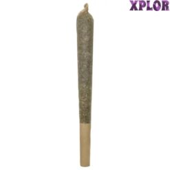 XPLOR Level X  | Beast Berry Distillate Infused Pre-Rolls | 1x1g