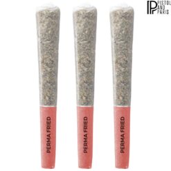 Pistol and Paris | Perma Fried Pre-rolls | 3x0.5g PROMO ~