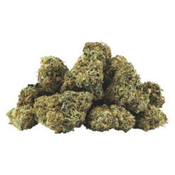BC Smalls | Electric Lotus Smalls Craft Flower | 3.5g