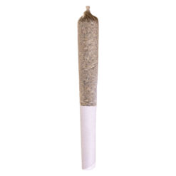 Station House | Sensi Star Pre-Roll | 1x0.5g