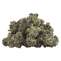 BC Smalls | El Changuito Smalls Craft Flower | 3.5g